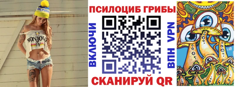 hydra ссылки  Россошь  Галлюциногенные грибы Psilocybe 